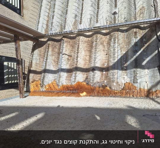 דוקרנים למניעת יונים על קיר חיצוני עם חלודה